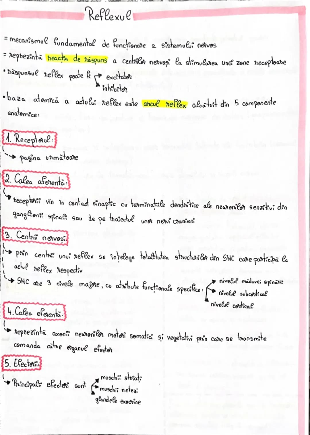 # Sinapsa

= este conexiunea funcțională între un neuron si o altă celula

*   În SNC a dova celulă este tot un neuron
*   în SNP ea poate f