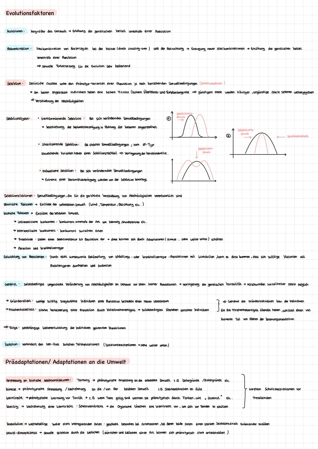 # Evolutionsfaktoren

*   Mulationen
    Vergrößer des Genpools Erhöhung der genetischen Vielfalt innerhalb éner Population

*   Rekombinati