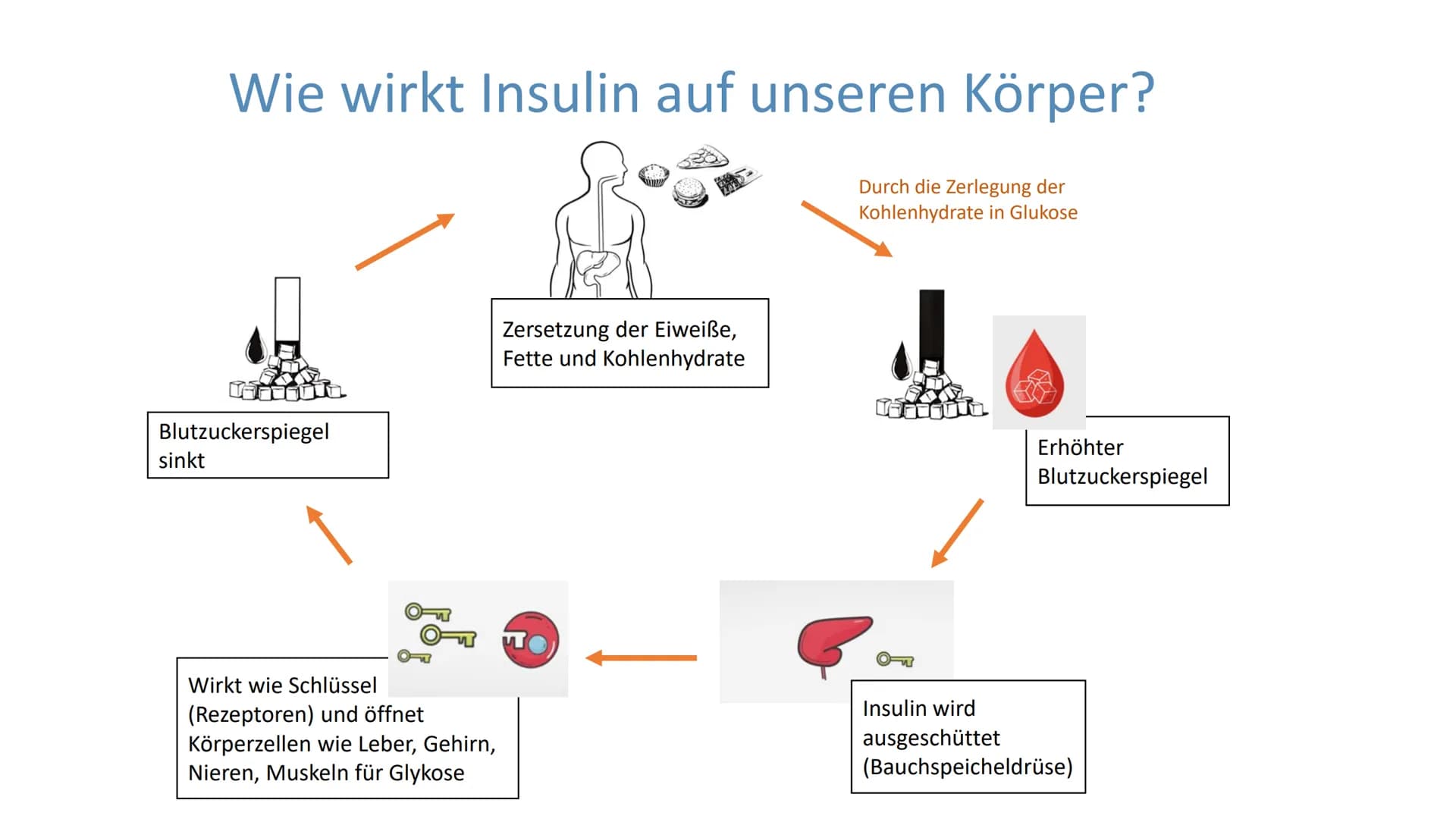 # "Altersdiabetes"
im Jugendalter

Inwiefern ist die
Erkrankung heilbar? # Gliederung

Was ist Diabetes Typ 2?

Maßnahmen und Therapien

*  