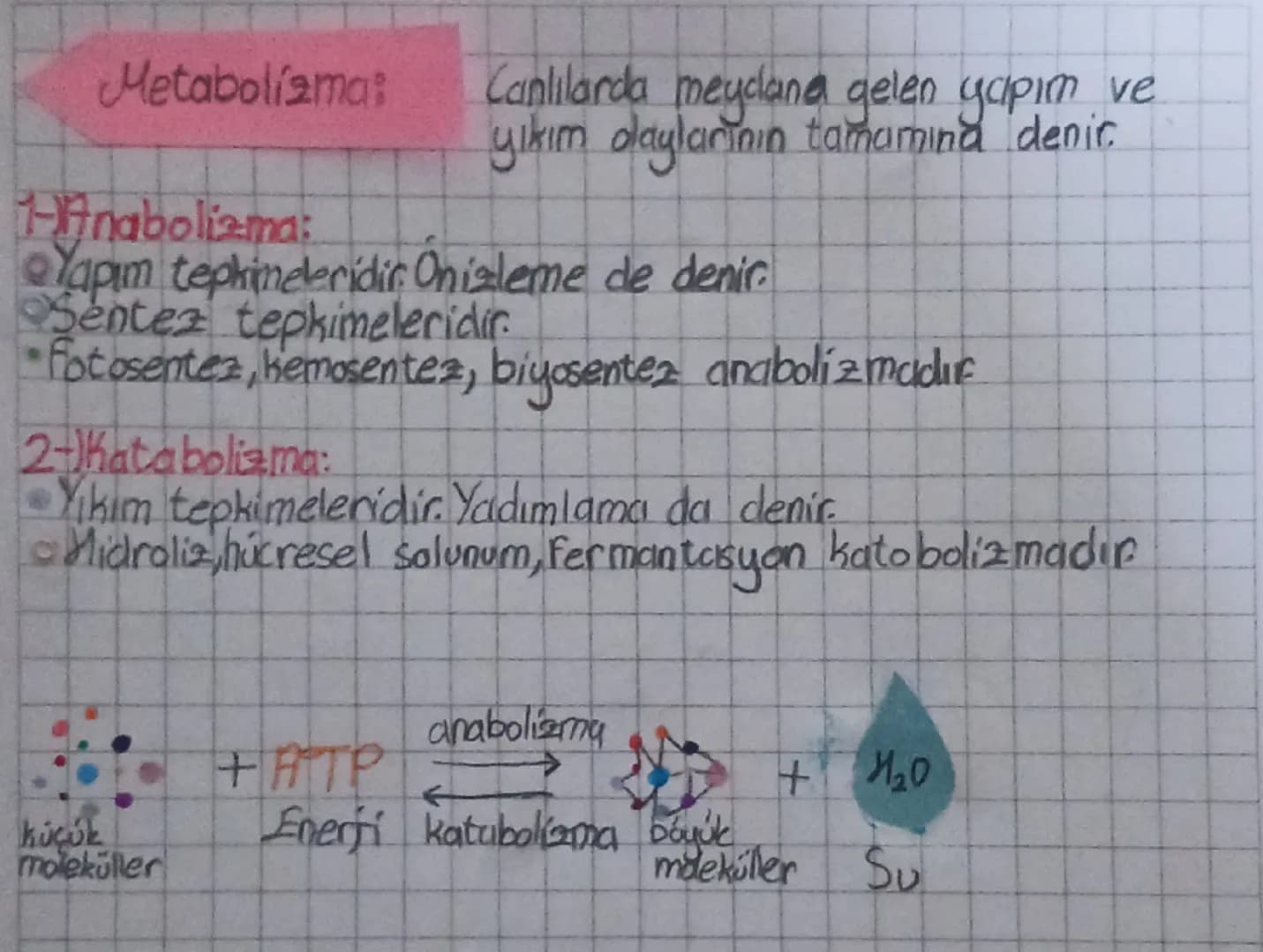 Gürmat

# Biyoloji:

Prokaryot hücre Lekirdeği ve zarlı organelleri yoktur.

Ökaryot hücre Çekirdeği ve zarlı organelleri vardır

Sdunumun a
