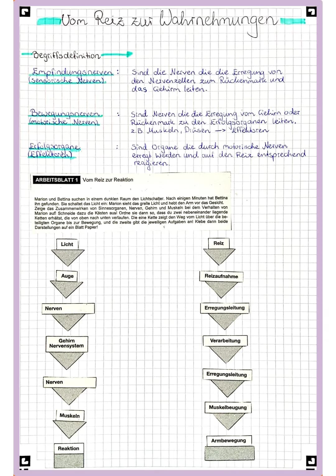 r
Nom Reiz zur Wahrnehmungen

Begriffs definition

Empfindungs nerven:
(Sensorische Herven).

Bewegungsnerven.
(motorische Nervent
:
Erfolgs