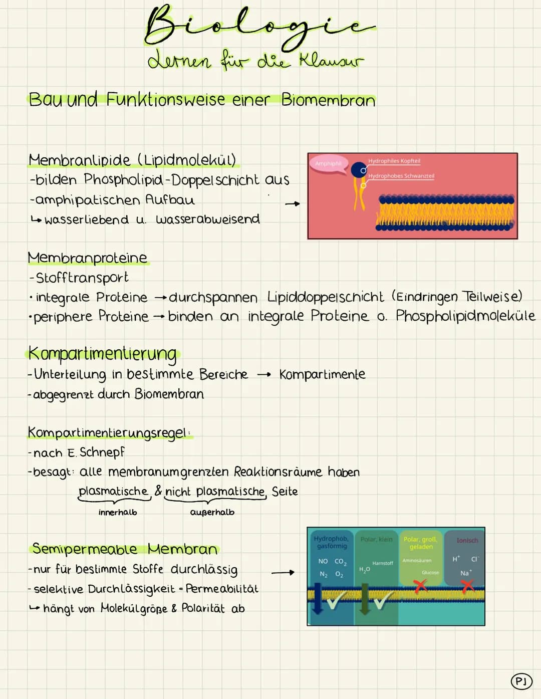 # Biologic
Lernen für die Klausur

Bau und Funktionsweise einer Biomembran

extrazellulärer
Raum

Kohlenhydrat-
kette

integrales
Protein

G