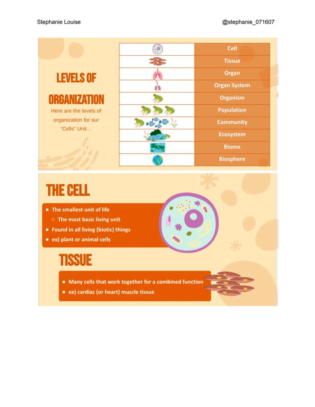 Stephanie Louise

@stephanie_071607

LEVELS OF ORGANIZATION

The Living Earth Stephanie Louise

LEVELS OF
ORGANIZATION
Here are the levels o