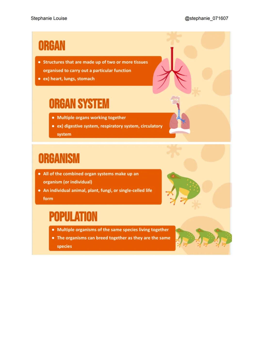 Stephanie Louise

@stephanie_071607

LEVELS OF ORGANIZATION

The Living Earth Stephanie Louise

LEVELS OF
ORGANIZATION
Here are the levels o