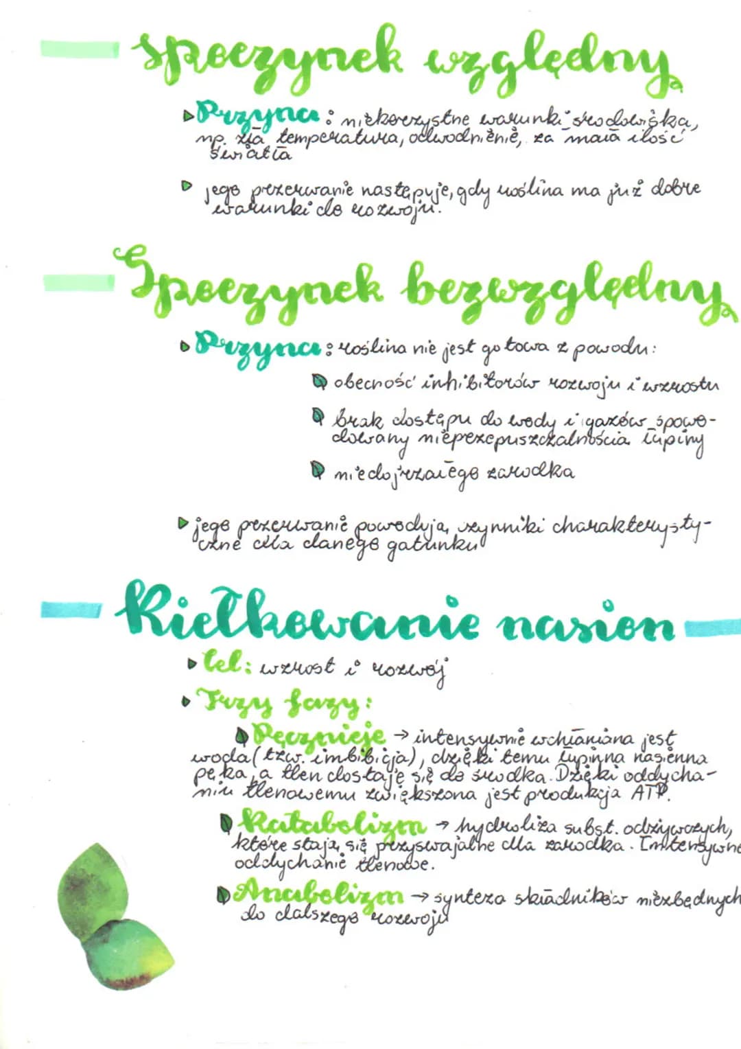 # hielkowanie
nasion

Rezwéje a wzrost s

5/2

Qwenost to pesces polegający na zwiększaniu się
rozmiarów wśliny, zas wswój polega na wzni-
c