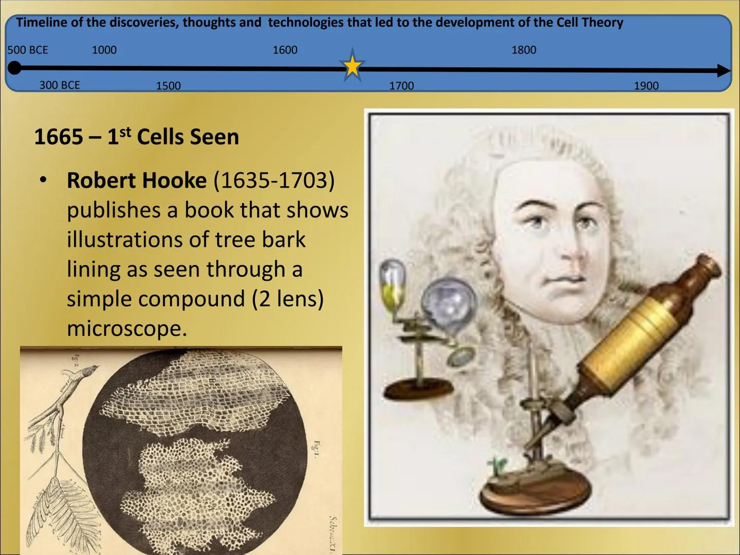 # The Cell Theory Timeline of the discoveries, thoughts and technologies that led to the development of the Cell Theory

500 BCE

300 BCE

1