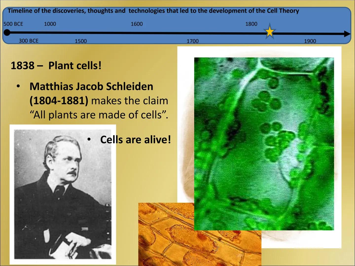 # The Cell Theory Timeline of the discoveries, thoughts and technologies that led to the development of the Cell Theory

500 BCE

300 BCE

1