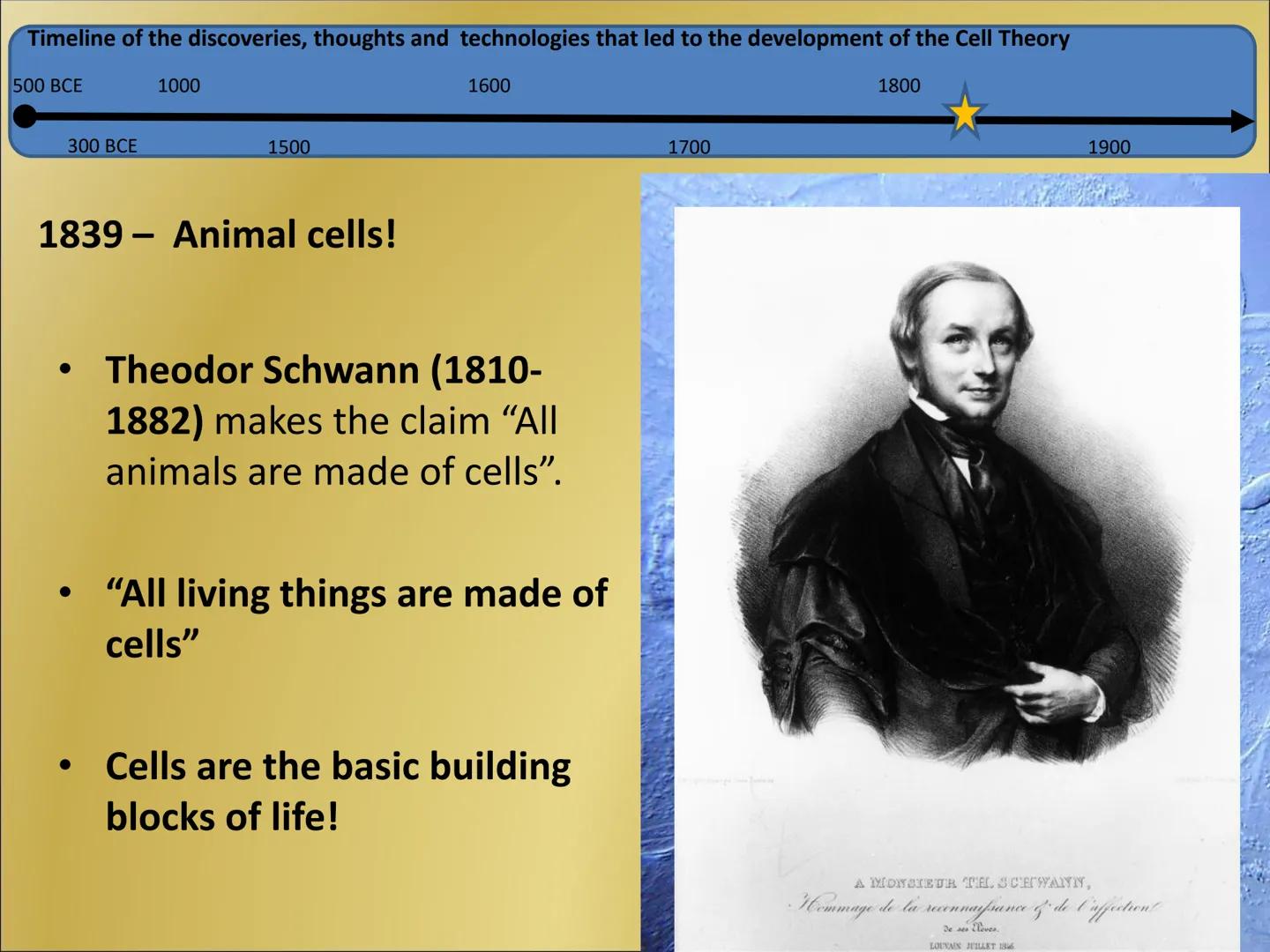 # The Cell Theory Timeline of the discoveries, thoughts and technologies that led to the development of the Cell Theory

500 BCE

300 BCE

1