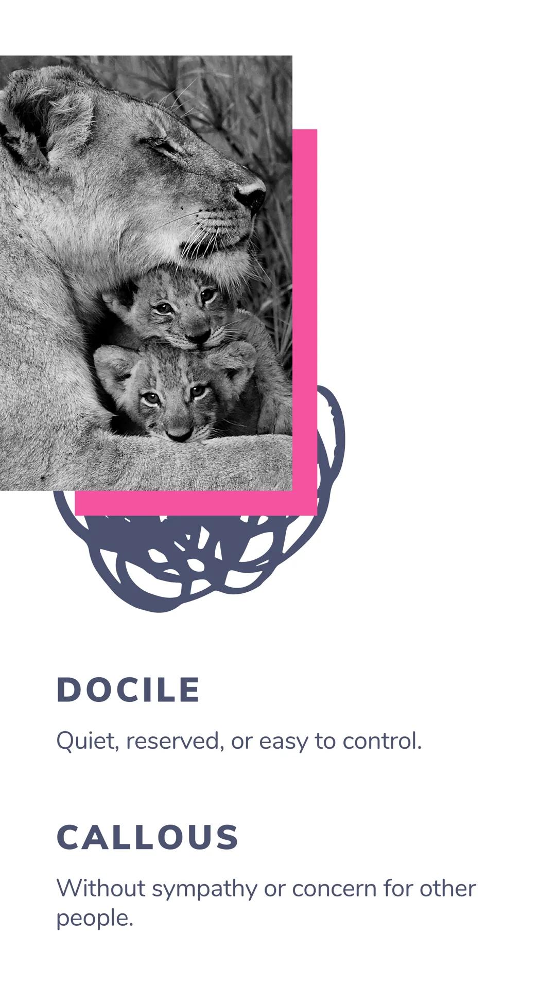 # 8TH GRADE
VOCAB TYRANNICAL
Using one's power over others
in a way that is unfair or cruel.

MERCENARY
A soldier who is paid to fight
for a