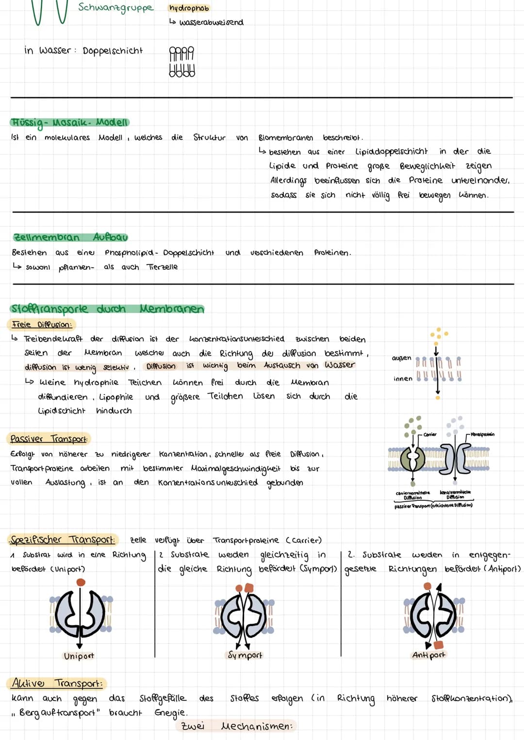 # ZELLBIOLOGIE

Pflanzen und Tierzellen im Vergleich

![Pflanzenzelle](image.png)

Pflanzenzelle

*   Ribosomen
*   Chloroplasten
*   Mitoch