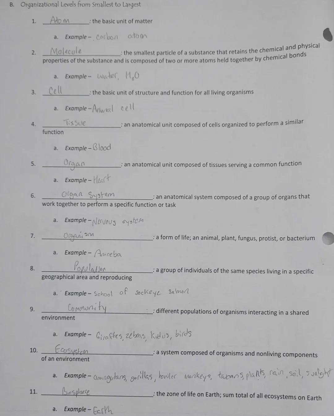Biology
Organization of Life
Organization of Life
BIO 1.4
1.
A. Using your knowledge of the organization of life, fill in the boxes below us