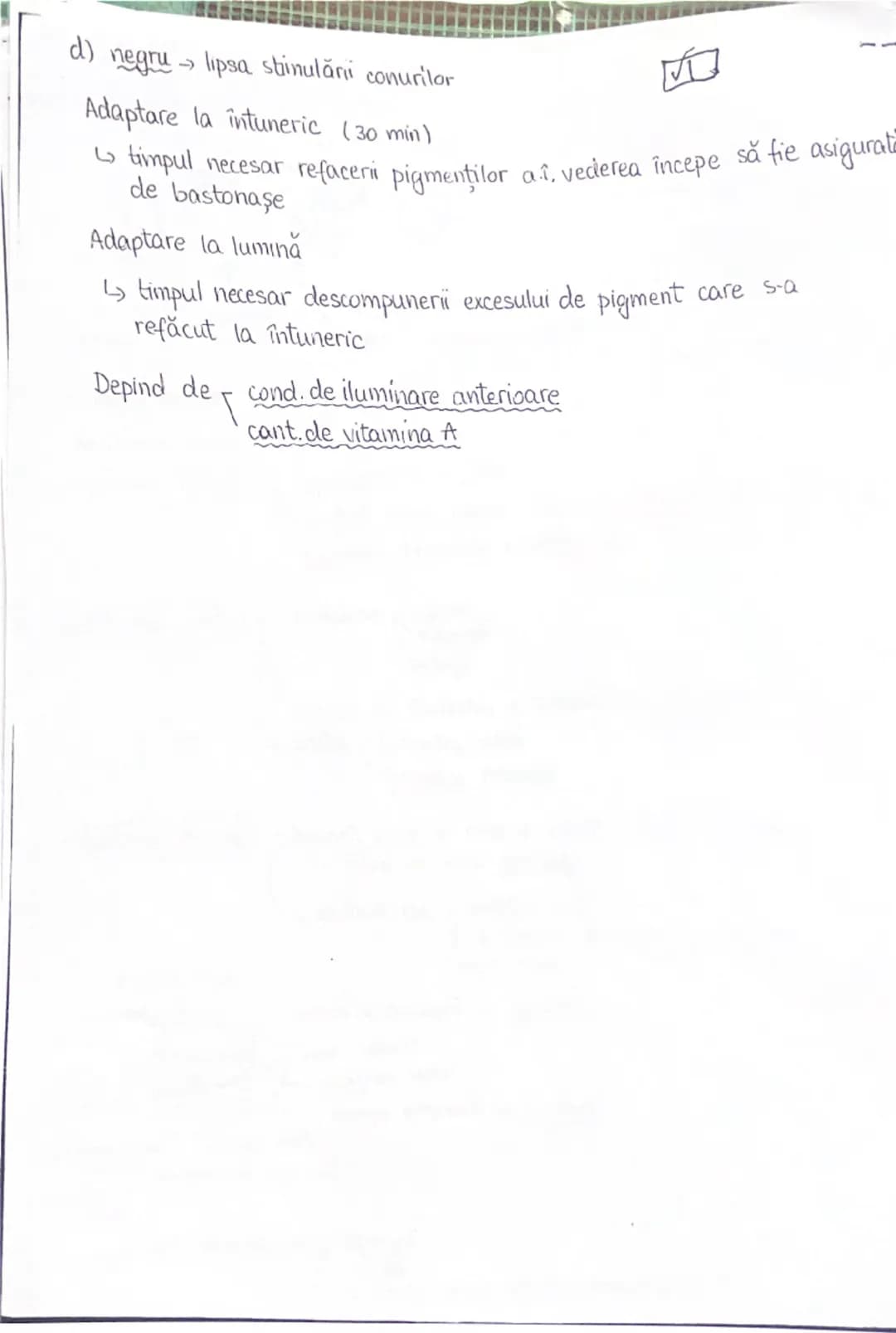 PLANURI SI RAPORTURI ANATOMICE
NTOPOGRAFIA ORGANELOR M

Axele corpului omenesc

superior (cranial)

- ax longitudinal (al lungimi)
- ax tran