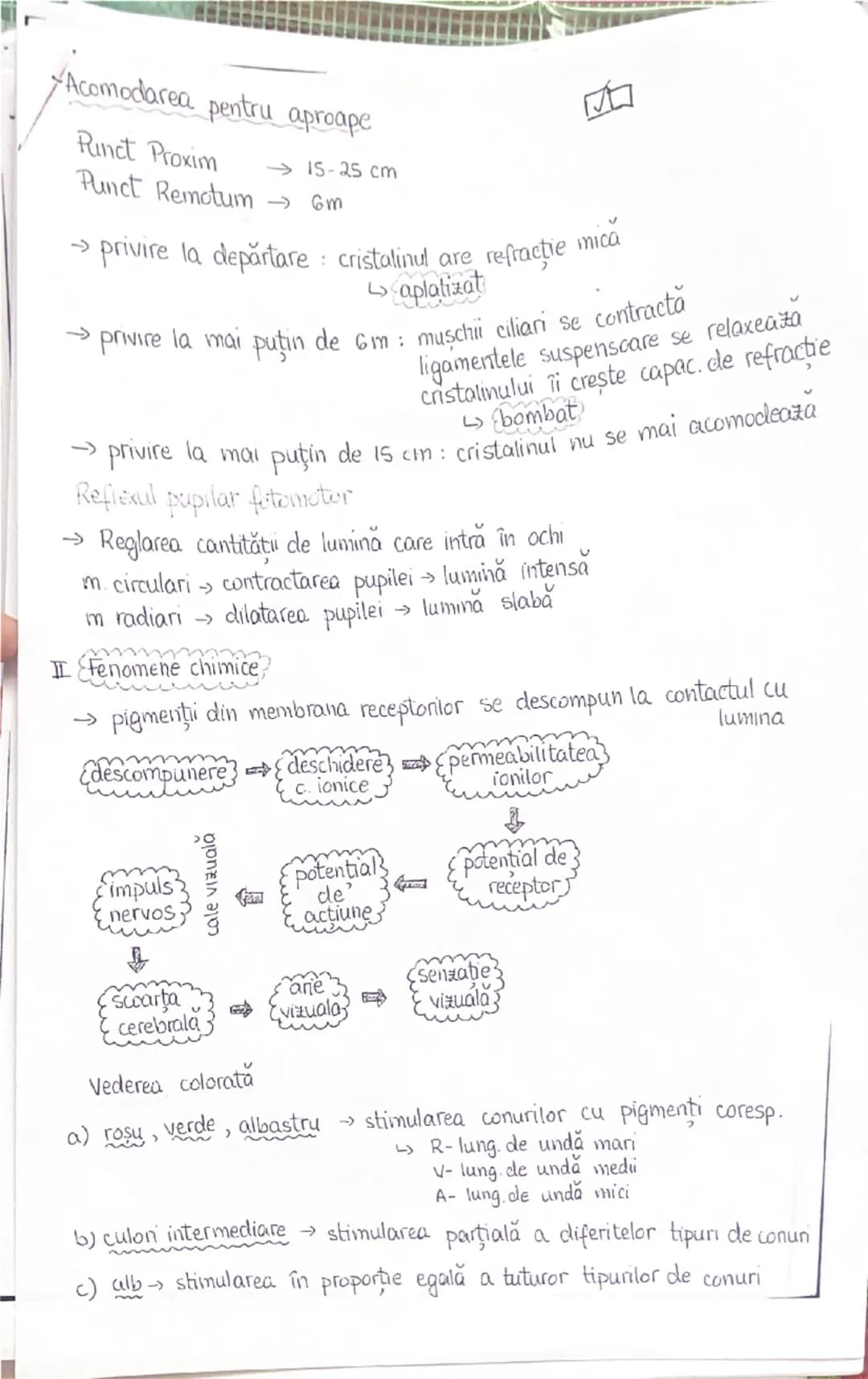 PLANURI SI RAPORTURI ANATOMICE
NTOPOGRAFIA ORGANELOR M

Axele corpului omenesc

superior (cranial)

- ax longitudinal (al lungimi)
- ax tran