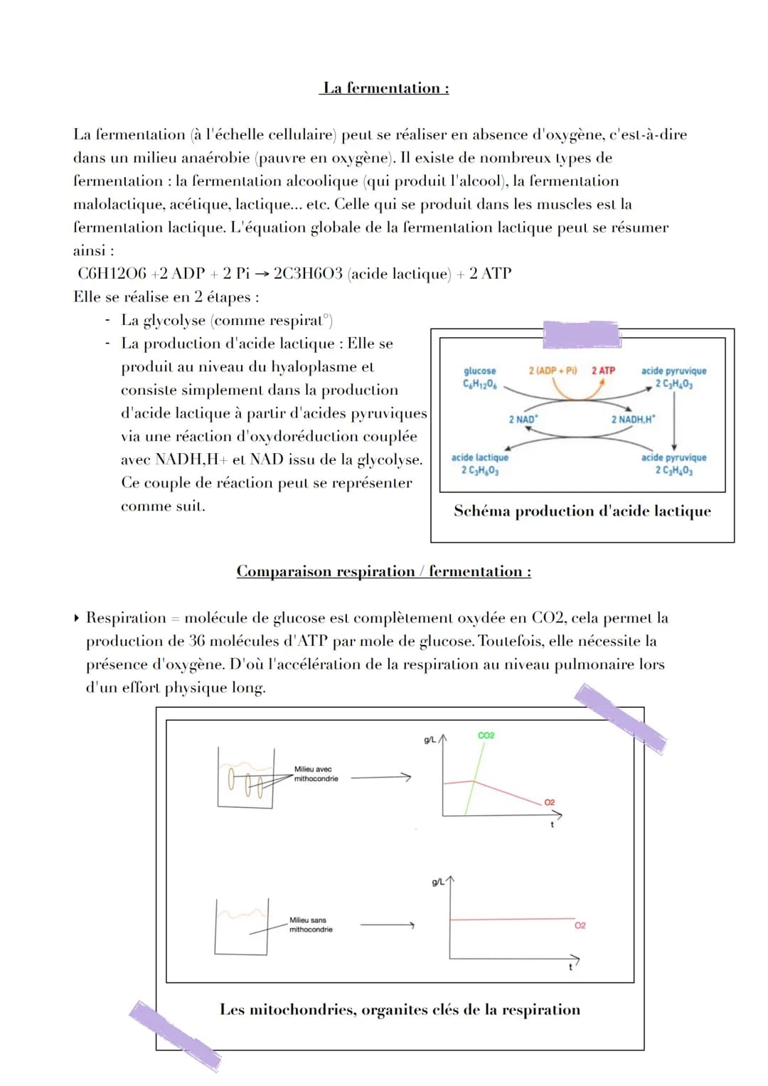 Pb

L'ORIGINE DE LATP

Par quels mécanismes sont générées les molécules d'ATP, notamment
nécessaire à la contraction musculaire ?

L'ATP, un