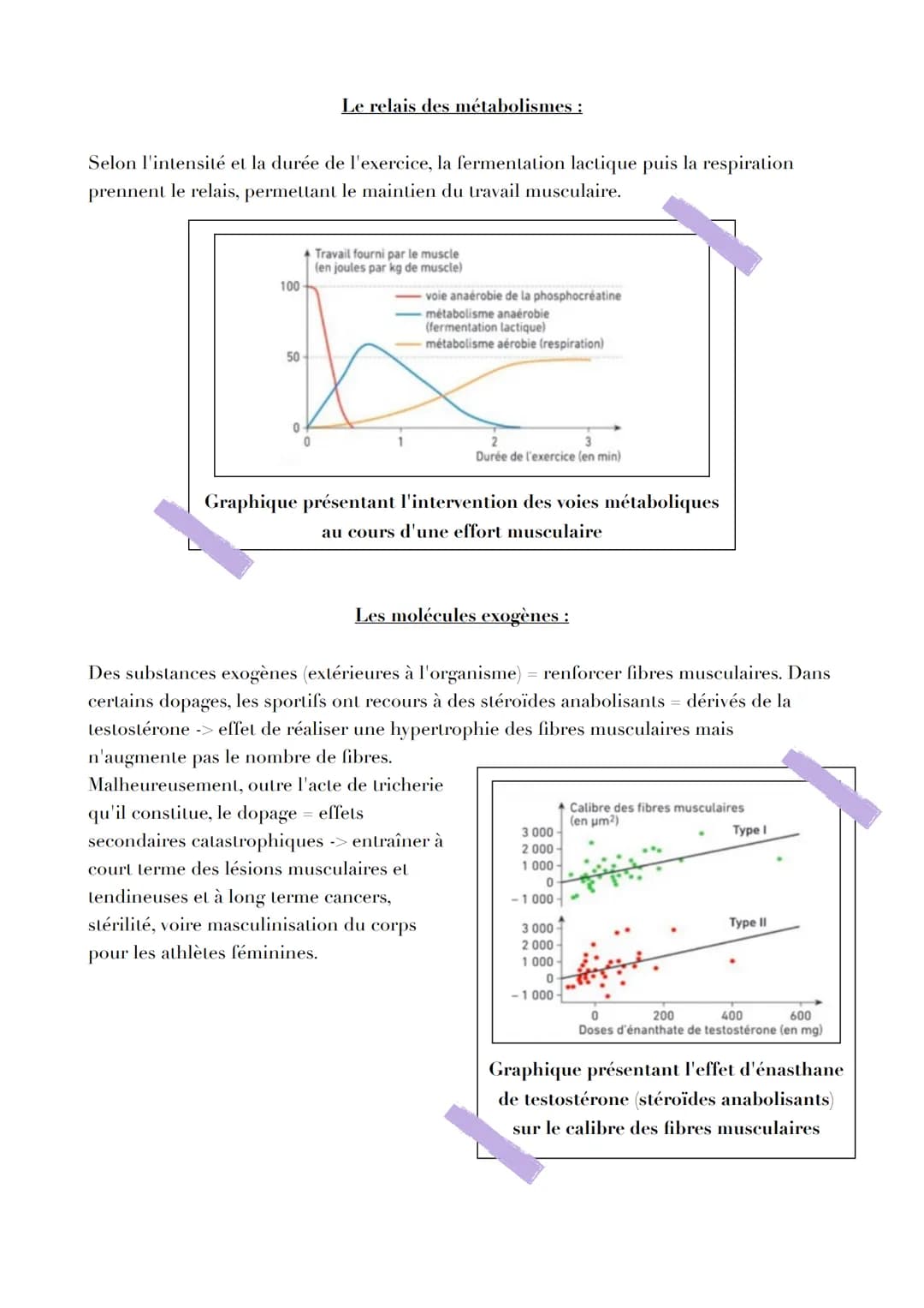 Pb

L'ORIGINE DE LATP

Par quels mécanismes sont générées les molécules d'ATP, notamment
nécessaire à la contraction musculaire ?

L'ATP, un