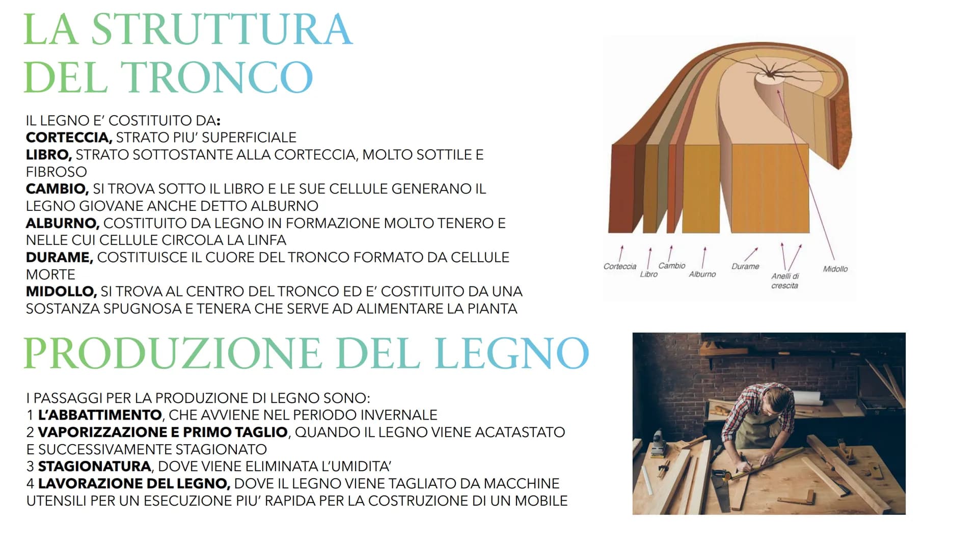 # IL LEGNO # IL LEGNO

IL LEGNO PUO' ESSERE CHIAMATO IN TRE MODI

1 LEGNO

2 LEGNO DA ARDERE

3 LEGNAME

IL LEGNO E' LA PARTE SOLIDA DEL TRO
