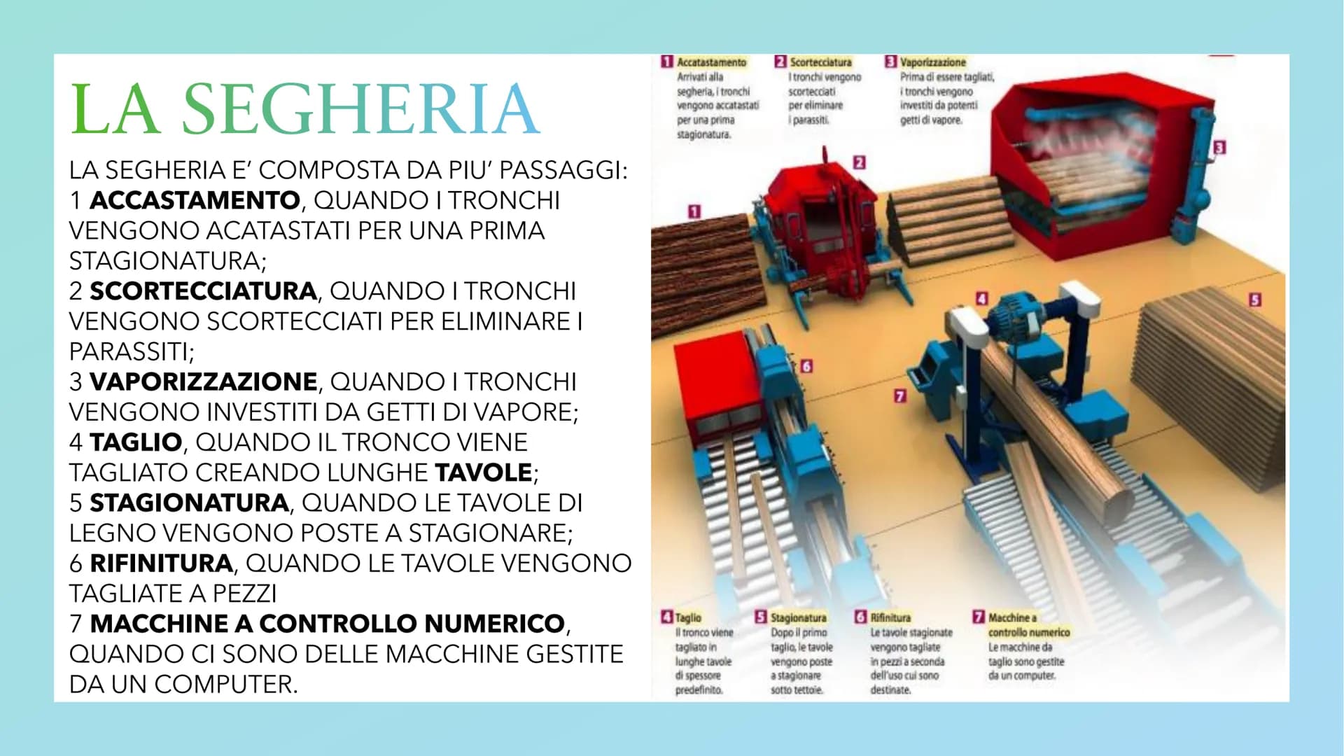 # IL LEGNO # IL LEGNO

IL LEGNO PUO' ESSERE CHIAMATO IN TRE MODI

1 LEGNO

2 LEGNO DA ARDERE

3 LEGNAME

IL LEGNO E' LA PARTE SOLIDA DEL TRO