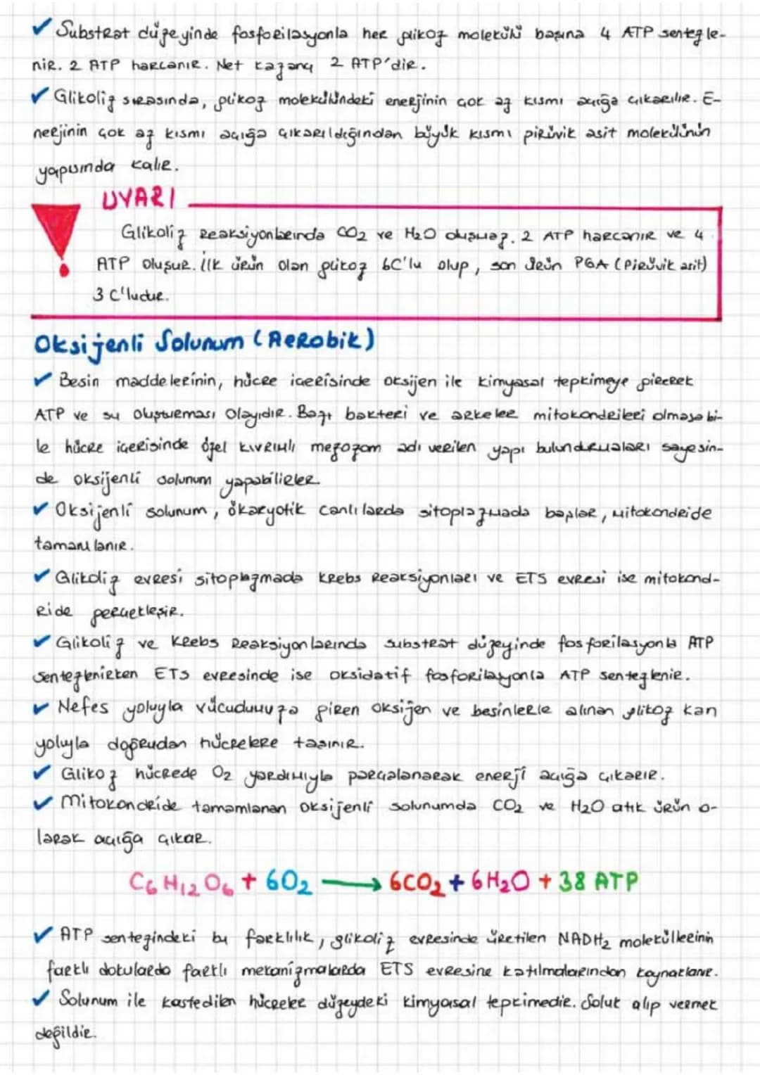 # HÜCRESEL SOLUNUM

*   Organik besin yapı taşlarının oksijen kullanarak ya da kullanmayarak daha
küçük moleküllere yıkımına hücre solunumu 