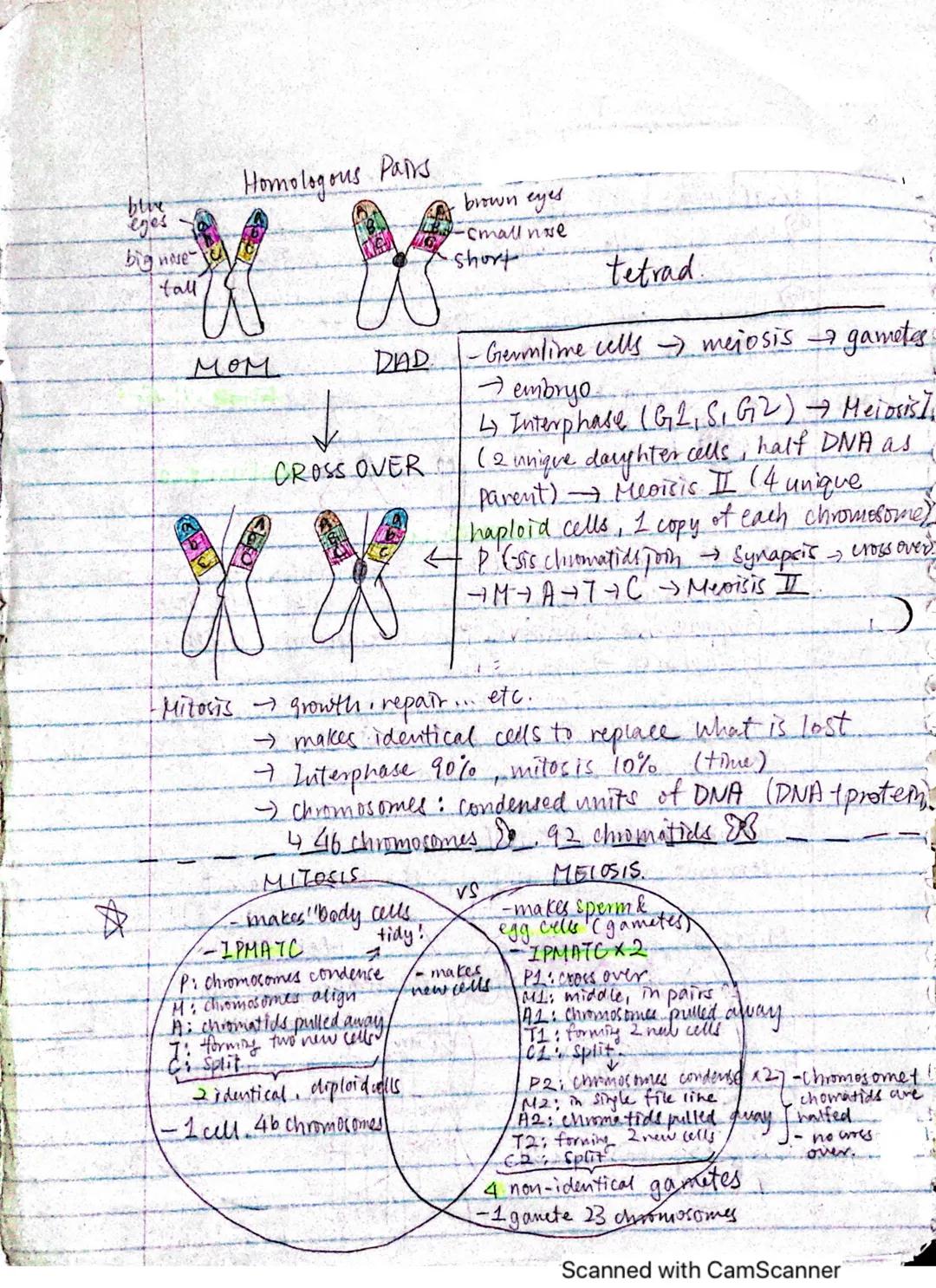 # BIOGOGY NOTES

1/27(THUR)

Why are cells small?.

I-easier, faster esmosis & diffusi

→ small ceus = efficiency-f-require less materials l