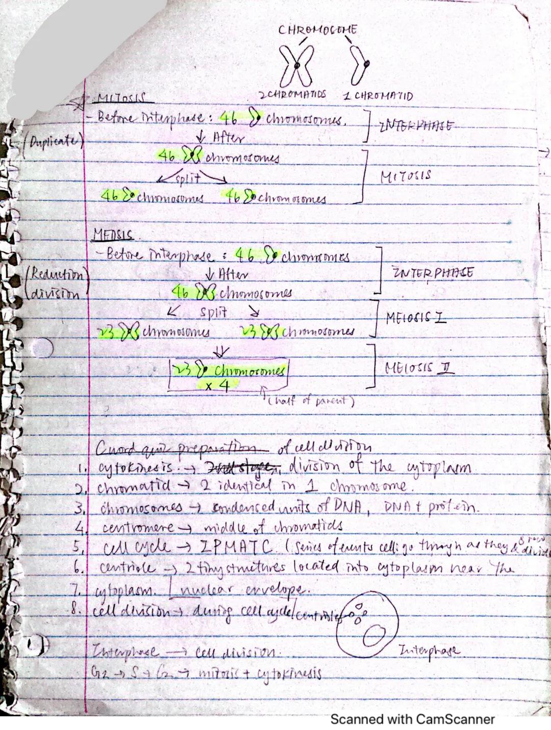 # BIOGOGY NOTES

1/27(THUR)

Why are cells small?.

I-easier, faster esmosis & diffusi

→ small ceus = efficiency-f-require less materials l
