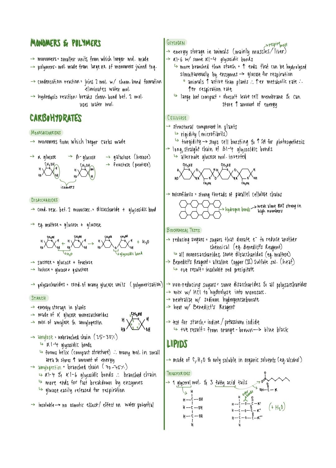 # MONOMERS & POLYMERS

- monomers smaller units from which larger mol. made
- polymers mol made from large no. of monomers joined tog.

- co