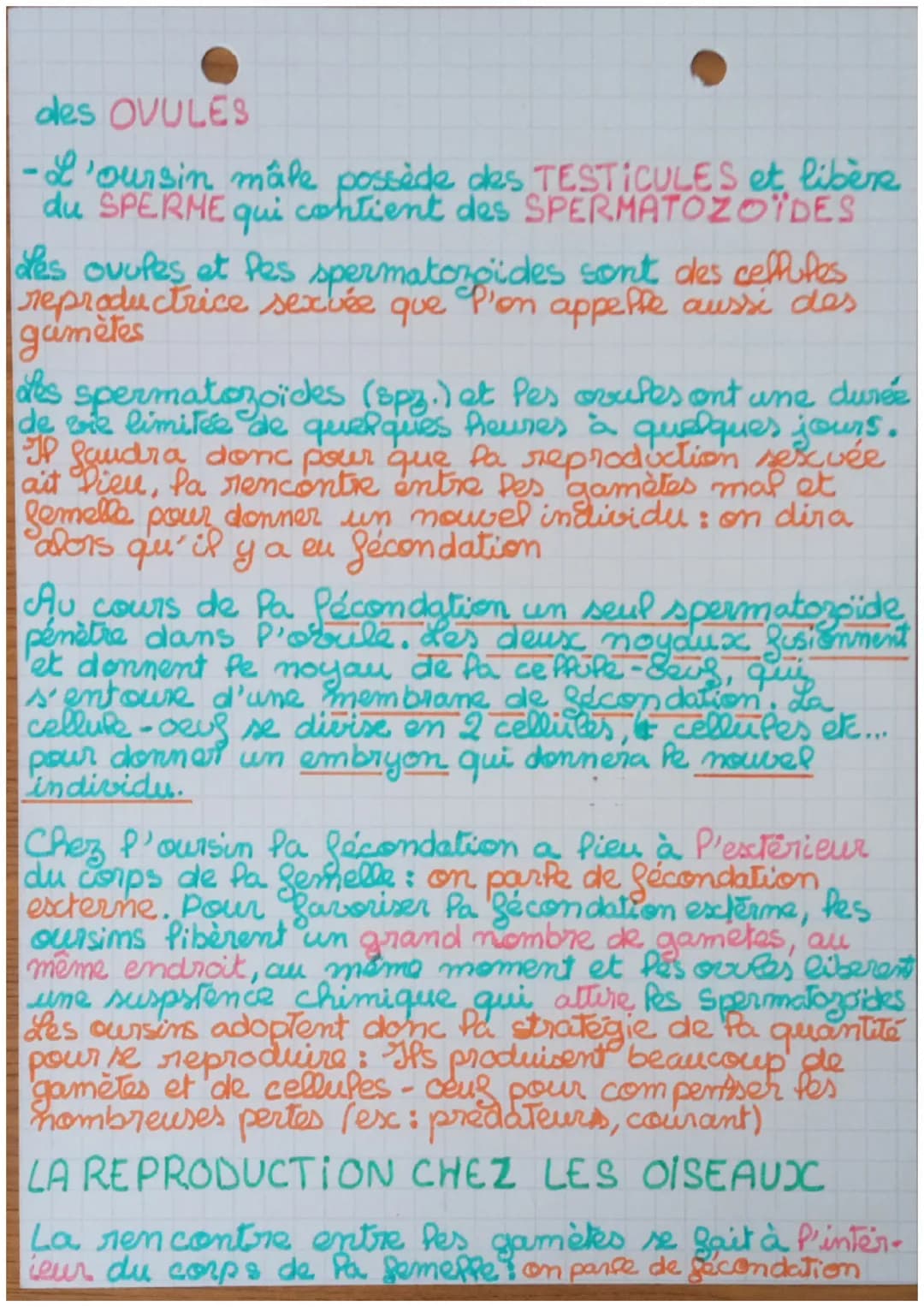 # Sciences et Vie de la Tore 10/2022

# REPRODUCTION DES ÊTRES VIVANTS

il existe 2 types de reproductions

reproduction SEXUÉE

reproductio
