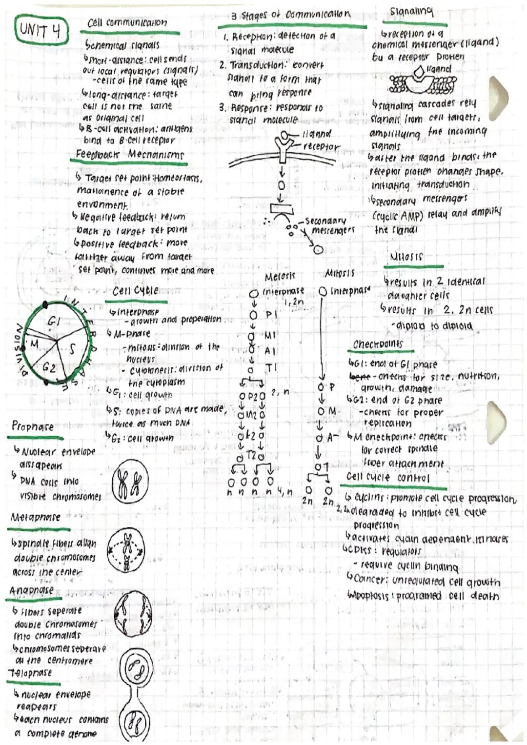 
<p>In this overview of Unit 4 AP Biology, we will explore the process of cell communication, including cell signaling, feedback mechanisms,