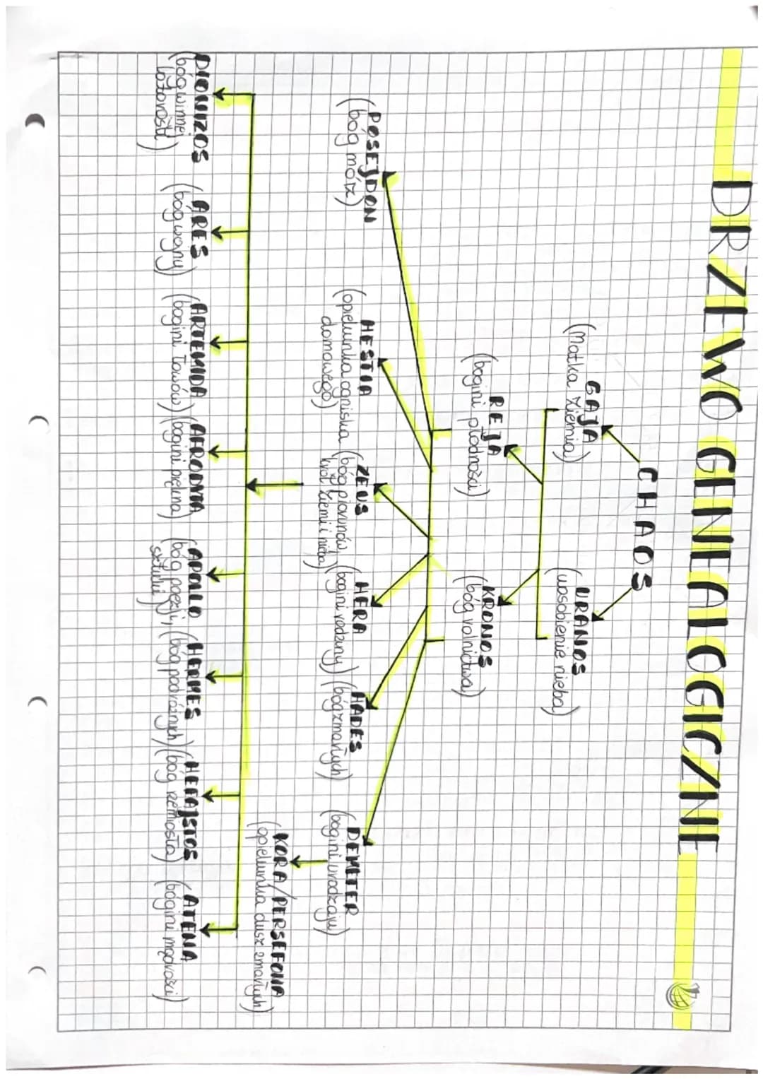 DRZEWO GENEALOGICZNE

CHAOS

GAJA
(Matka Ziemia)

REJA
(bogini płodności)

URANOS
(uosobienie nieba)

KRONOS
(bóg rolnictwa)

POSEJDON
(bóg 