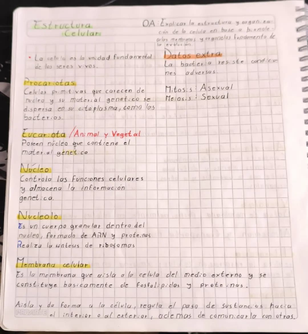 --- OCR Start ---
Estructura
Celular
OA: Explicar la estructura y organiza
ción de la celula en base a bienale
oulas membranas y orgonelos E