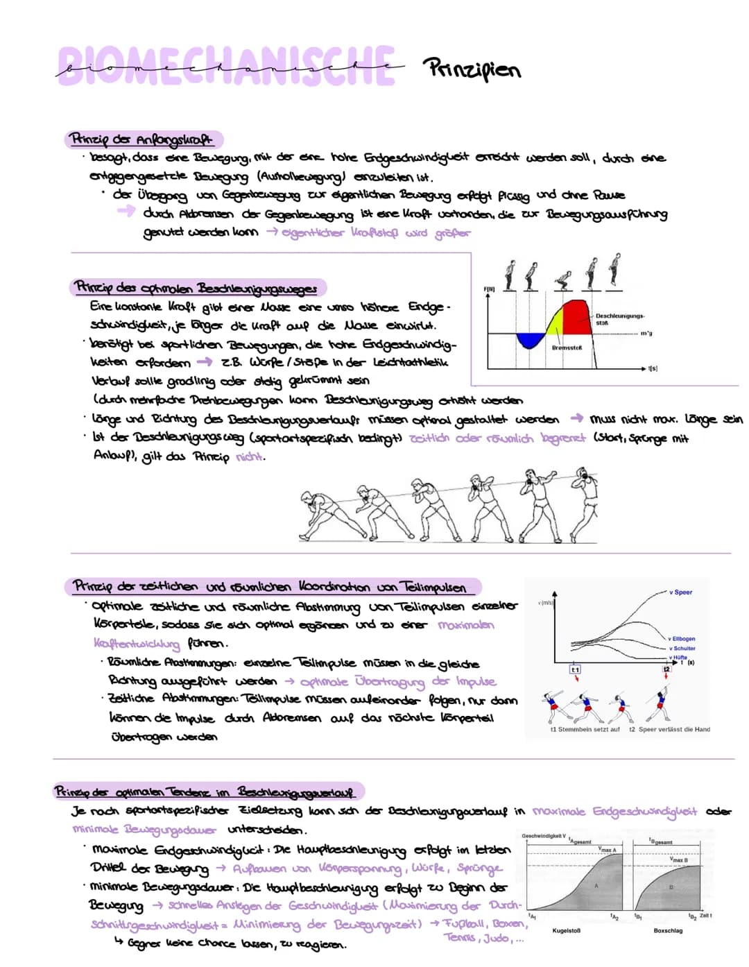 # Biomechanische Prinzipien

Prinzip der Anfangskraft

- besagt, dass eine Bewegung, mit der eine hohe Endgeschwindigkeit erreicht werden so