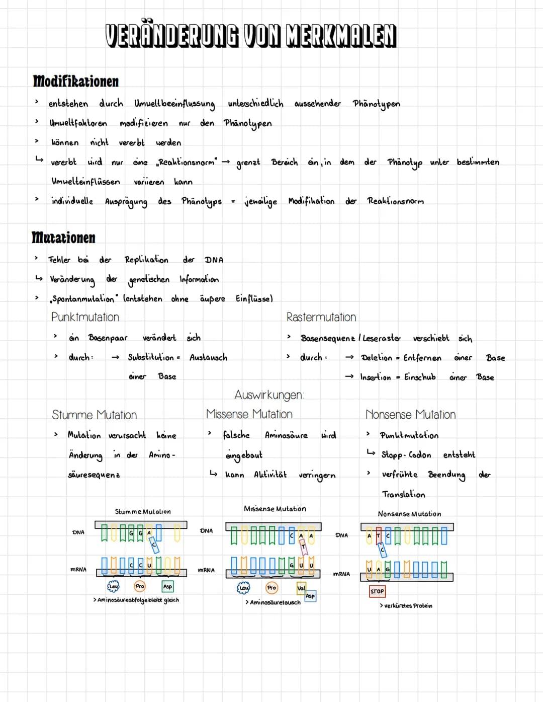 # INHALTSVERZEICHNIS

□□□ Chromosomen Aufbau

□□□ Zellzyklus

□□□ Mitose

□□□ Meiose

□□□ Vererbung

□□□ Begriffe

□□□ Mendelsche Regeln

□□