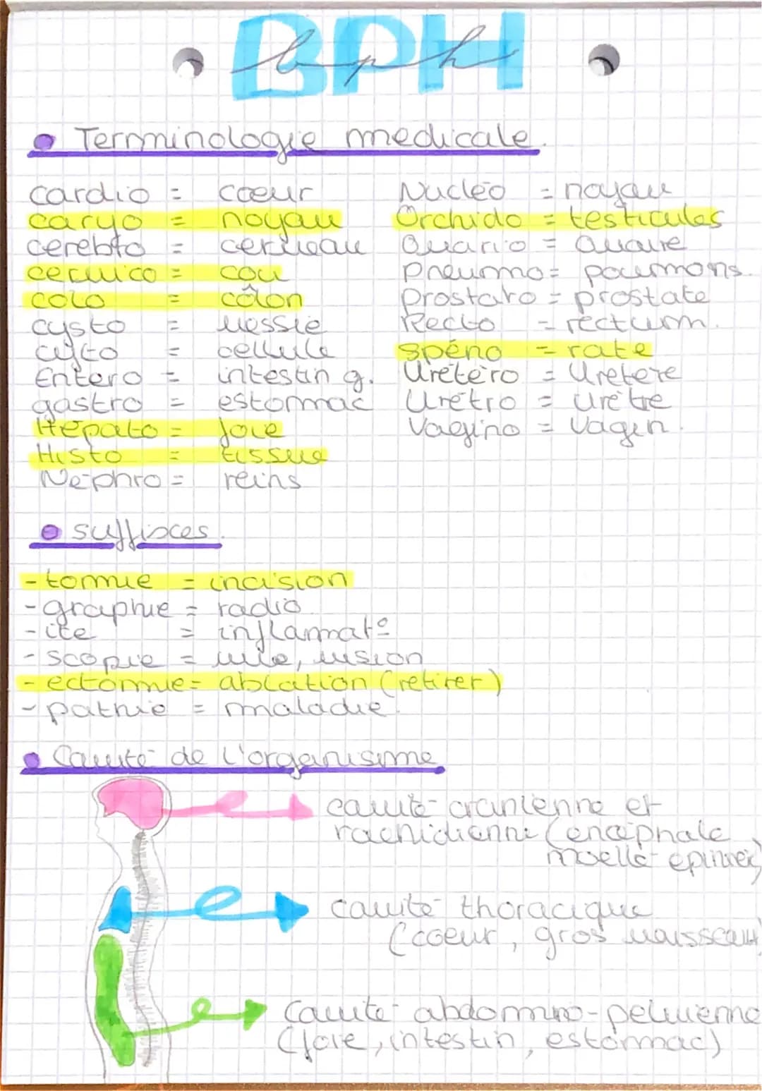 # BPH

• Terminologie medicale.

cardio: = coœur
caryo = noyau
cerebto= ceribeau
ceclico = cou
colo = celon
cysto = Messie
cyto = cellule
En