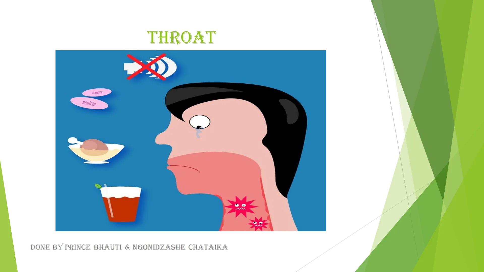 HUMAN DIGESTIVE
SYSTEM
Oral cavity, Throat
Oesophagus, Stomach
&
Salivary Glands
DONE BY PRINCE BHAUTI & NGONIDZASHE CHATAIKA Mouth

Liver

