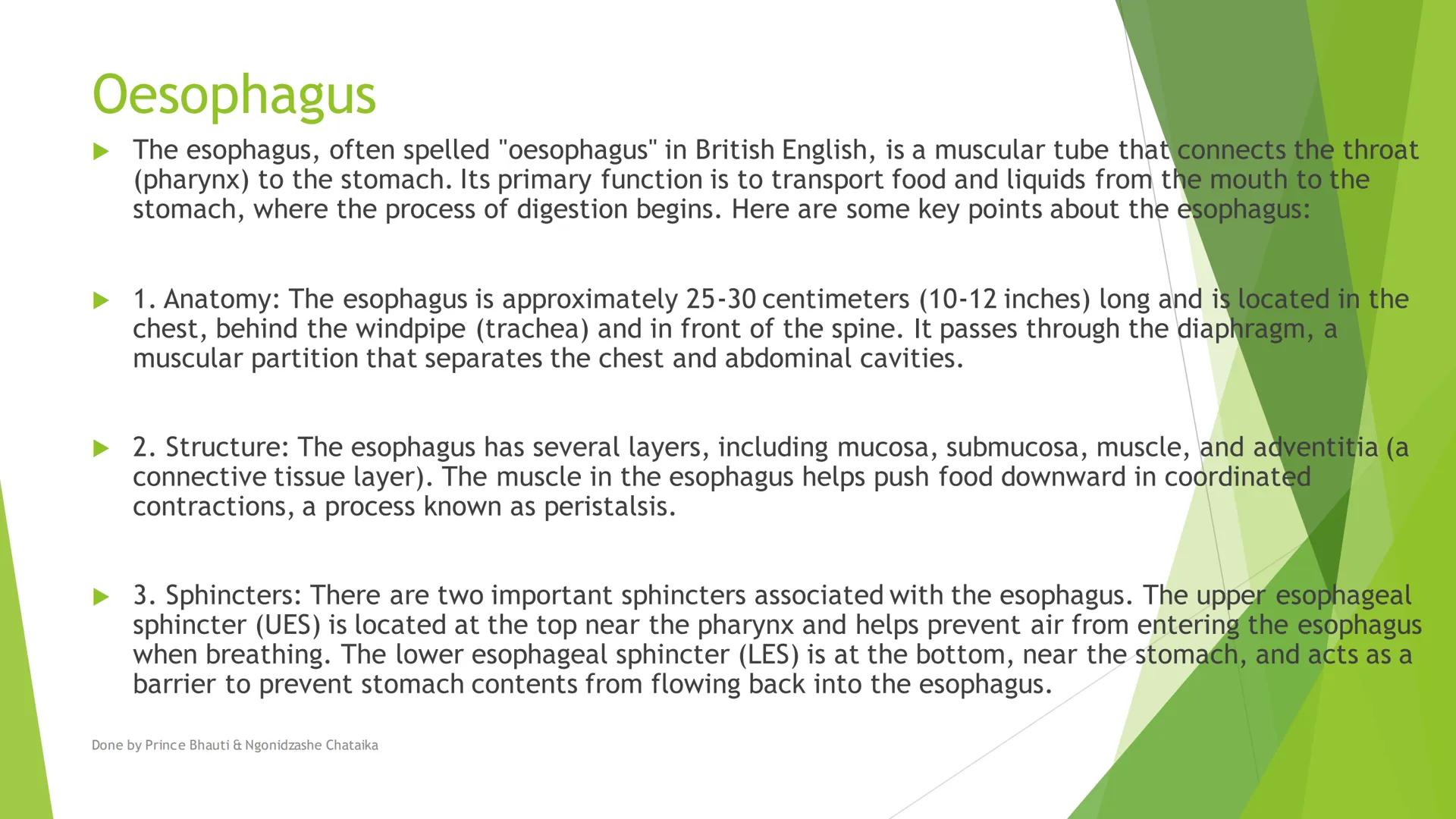 HUMAN DIGESTIVE
SYSTEM
Oral cavity, Throat
Oesophagus, Stomach
&
Salivary Glands
DONE BY PRINCE BHAUTI & NGONIDZASHE CHATAIKA Mouth

Liver

