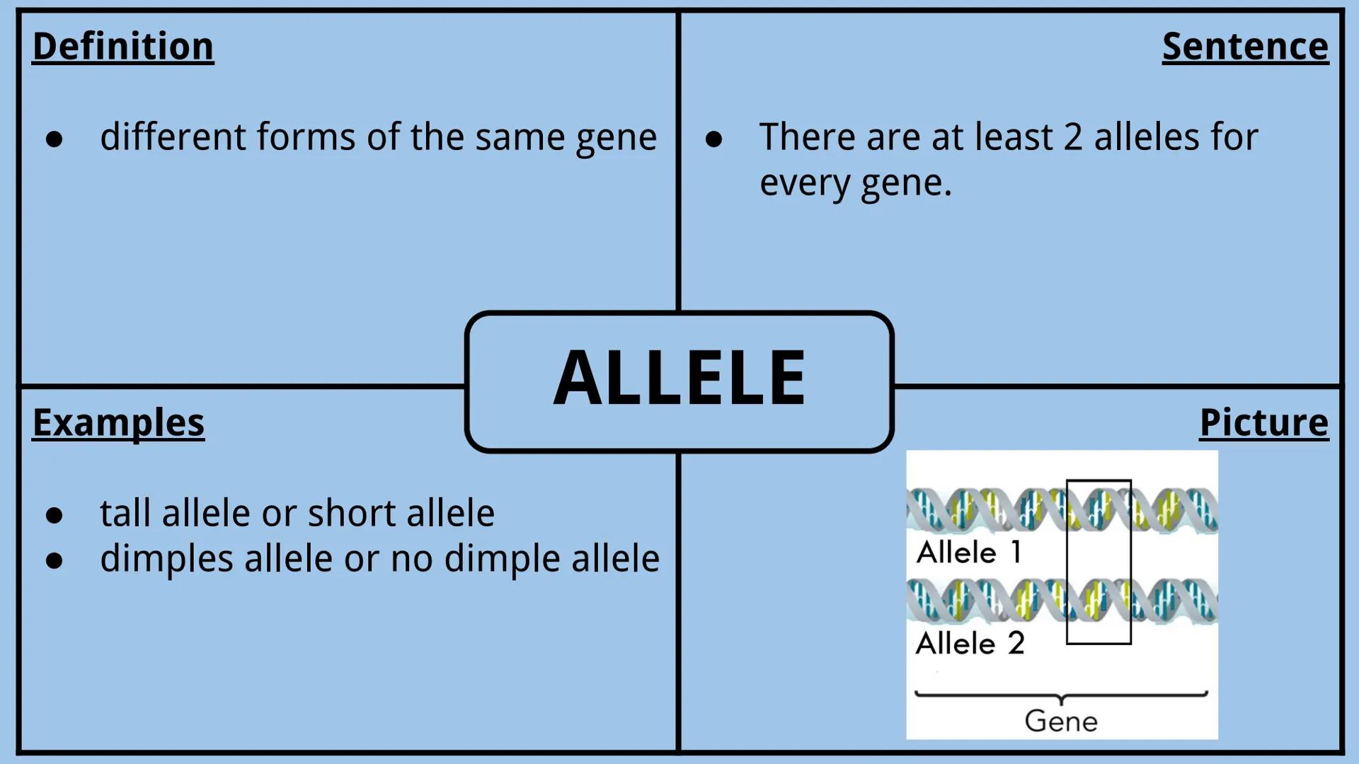 # Genetics Vocabulary

Directions:
Each vocabulary word has its own slide. The definition is given to you.
Complete all boxes:
- Example Box