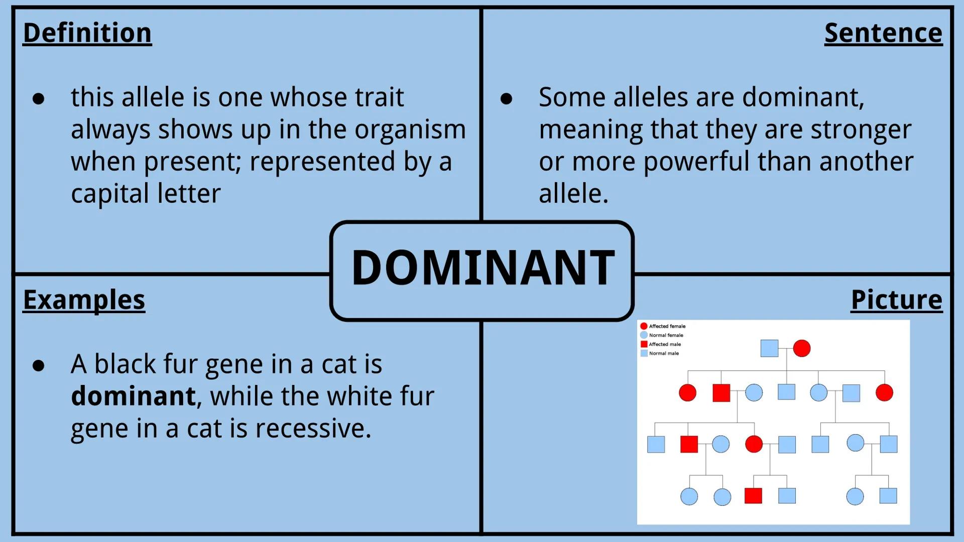# Genetics Vocabulary

Directions:
Each vocabulary word has its own slide. The definition is given to you.
Complete all boxes:
- Example Box