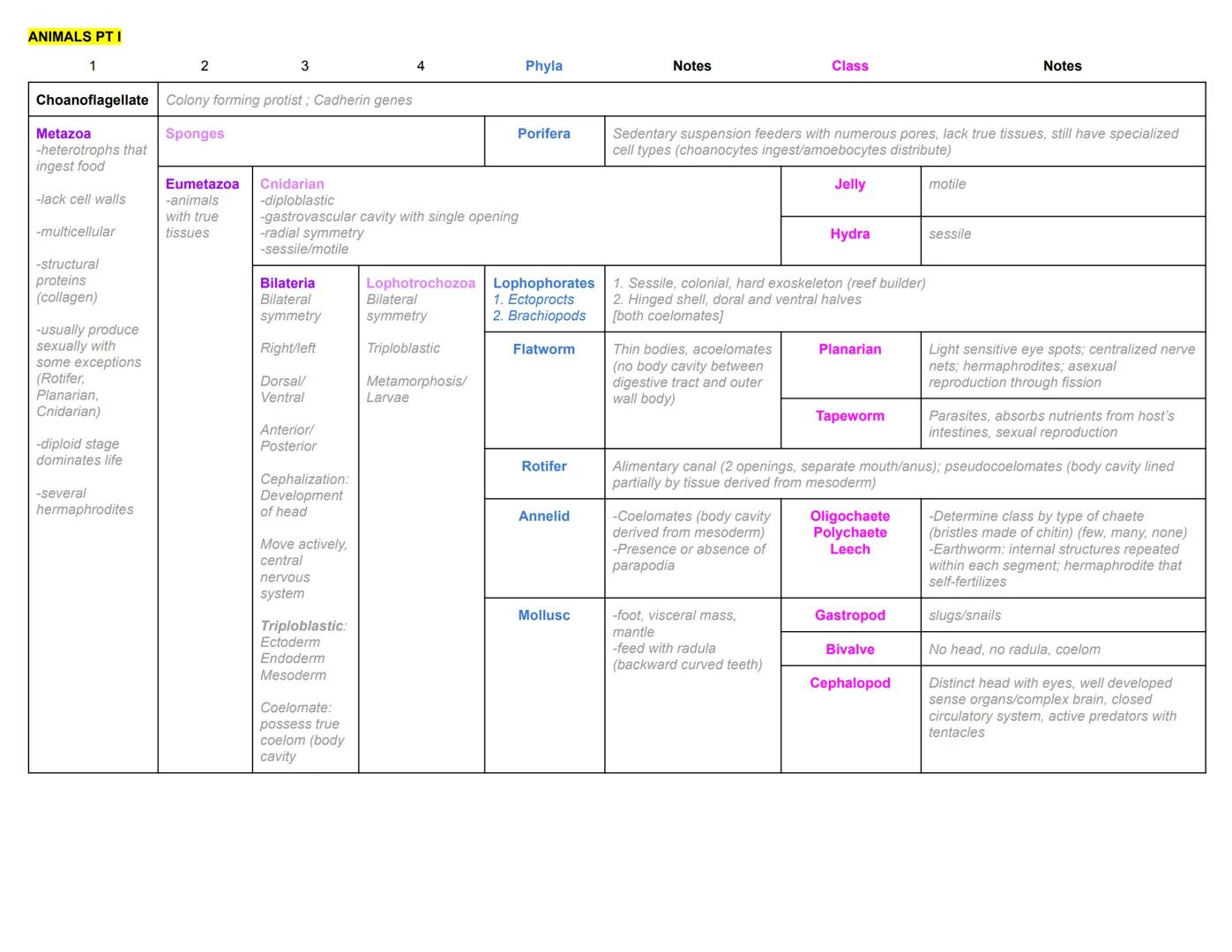 ANIMALS PT I
1
2
3
4
Phyla
Notes
Class
Notes
Choanoflagellate Colony forming protist; Cadherin genes
Metazoa
-heterotrophs that
ingest food
