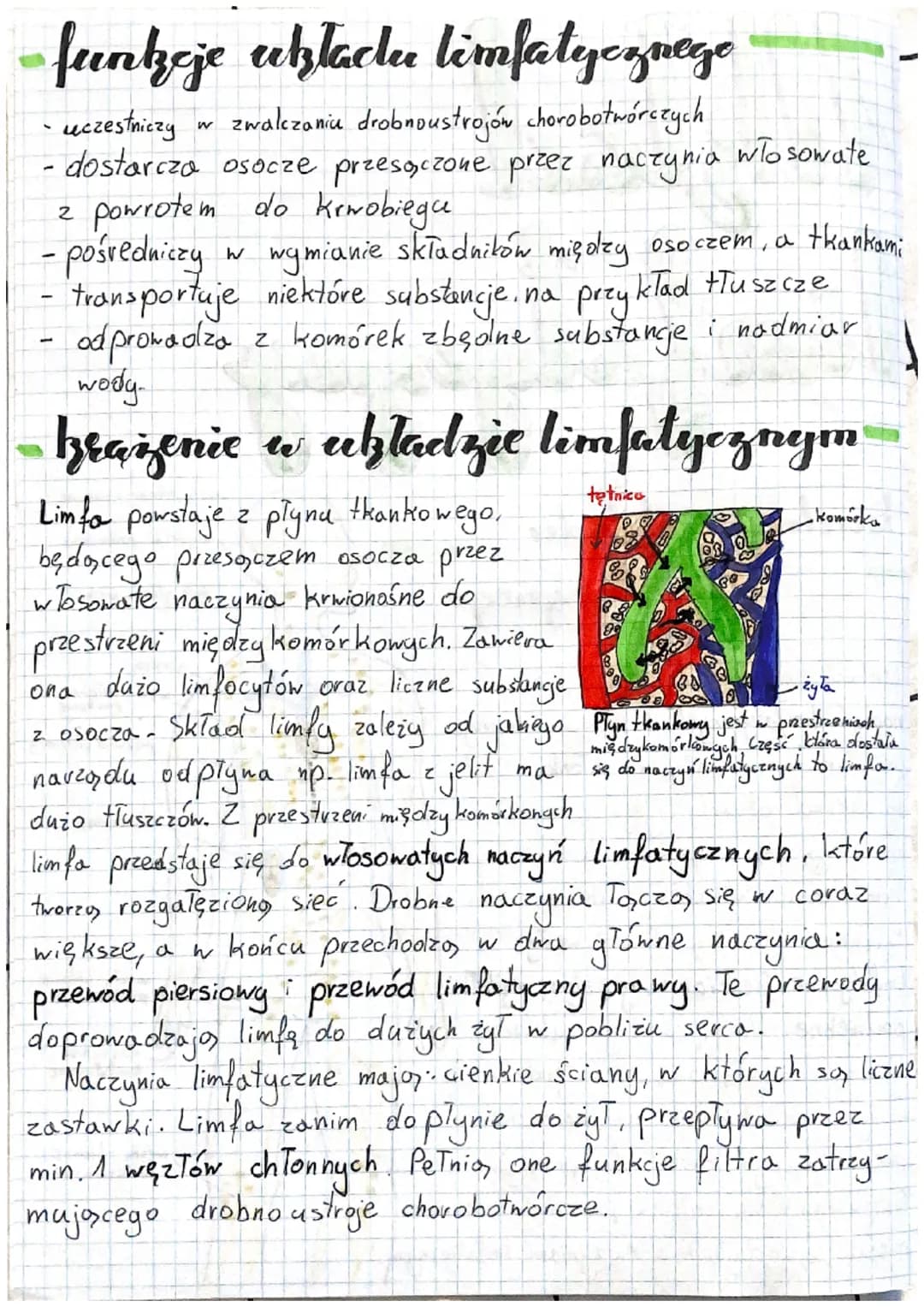# Uklad

limfalgezamy

budowa uztadr

limfatycznego

Układ limfatyczny składa się z
naczyń limfatycznych, w których znajduje
się płyn zwany 
