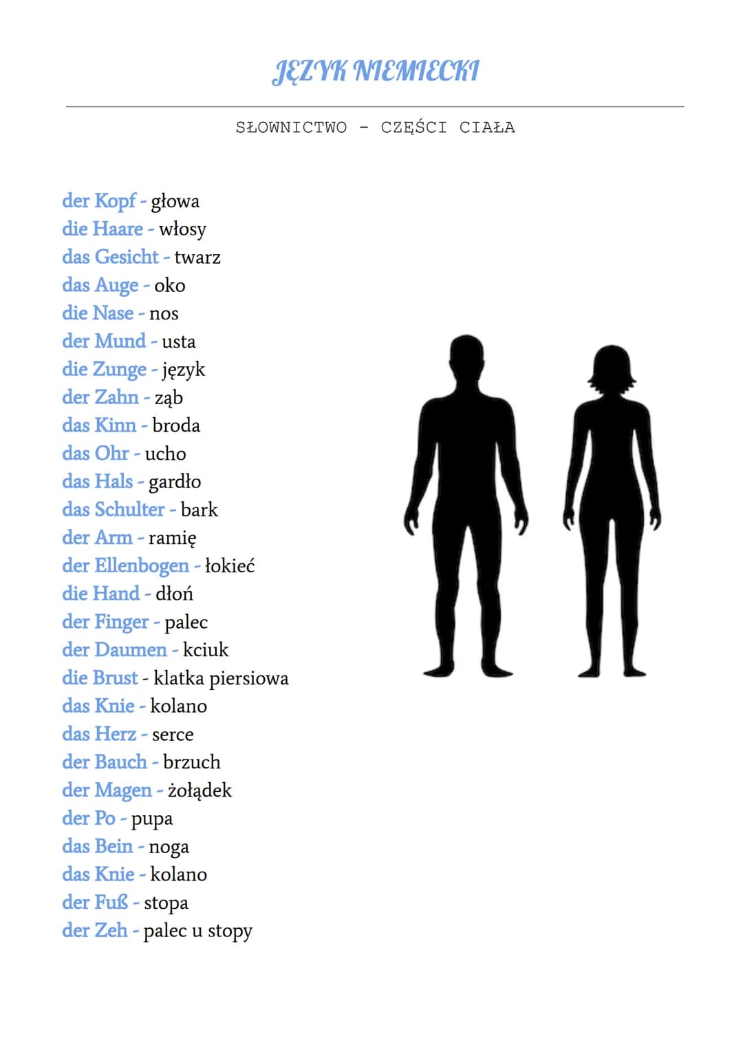 # JĘZYK NIEMIECKI

SŁOWNICTWO CZĘŚCI CIAŁA

der Kopf - głowa
die Haare - włosy
das Gesicht - twarz
das Auge - oko
die Nasenos
der Mund - ust