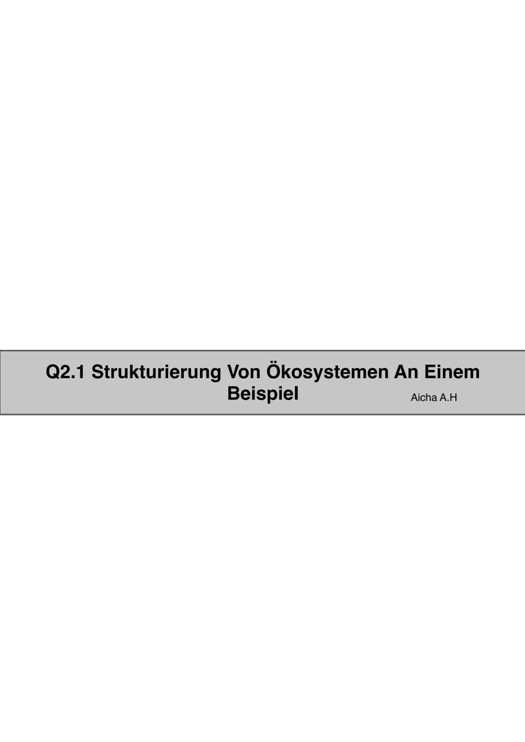 Q2.1 Strukturierung Von Ökosystemen An Einem Beispiel
Aicha A.H # Q2.1 Strukturierung Von Ökosystemen An Einem Beispiel

abiotische Faktoren
