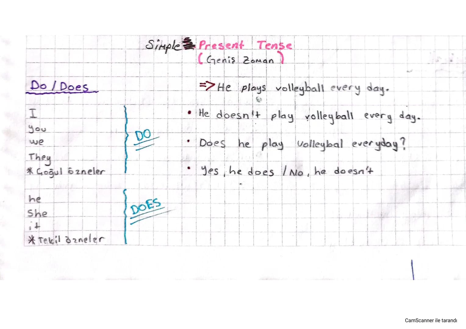Do/Does

I
you
we
They
* Goğul özneler

he
She
it
*Tekil özneler

Simple Present Tense
(Geniş Zaman)

DO

DOES

He plays volleyball every da