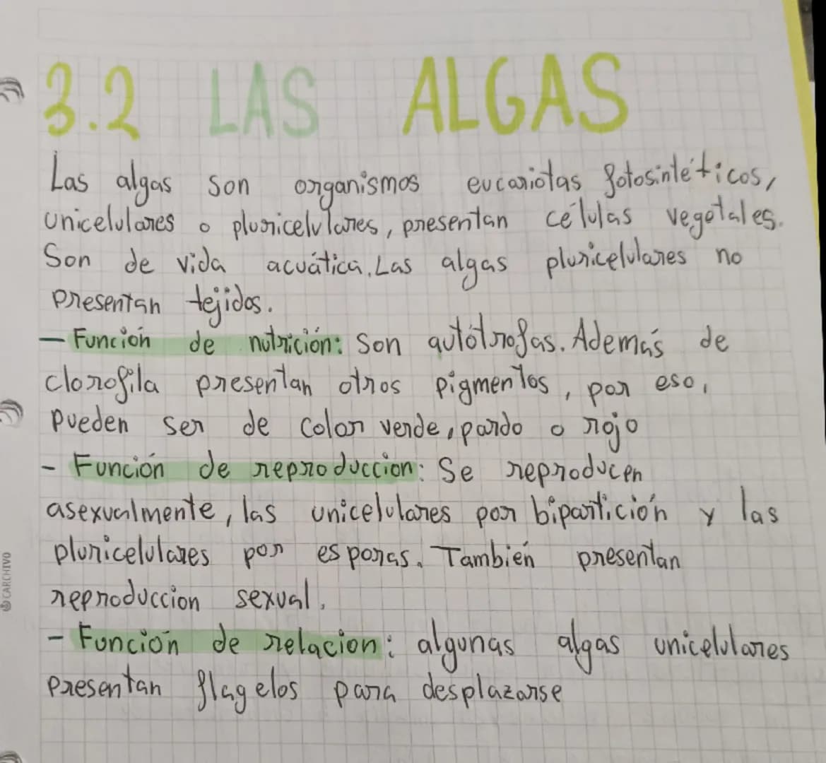 # MICROORGANISMOS

Son microorganismos todos los seres vivos que
pueden verse únicamente mediante el uso del
microscopio

Son: bacterias, pr