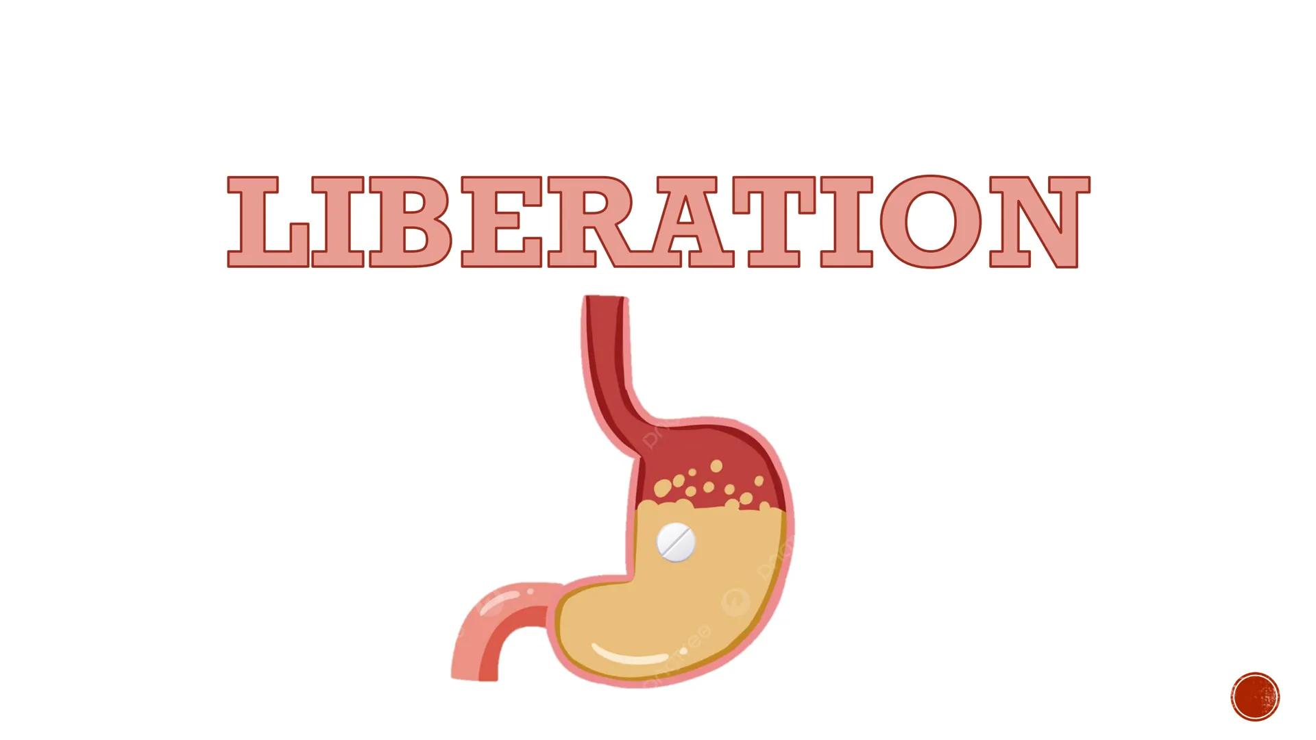 PHARMACOKINETICS:
THE JOURNEY OF A DRUG
By: Pauline Rose Gagala, RPh, PharmD
08/07/25 LADME
profile of Pharmacokinetics
WHAT IS
PHARMACOKINE