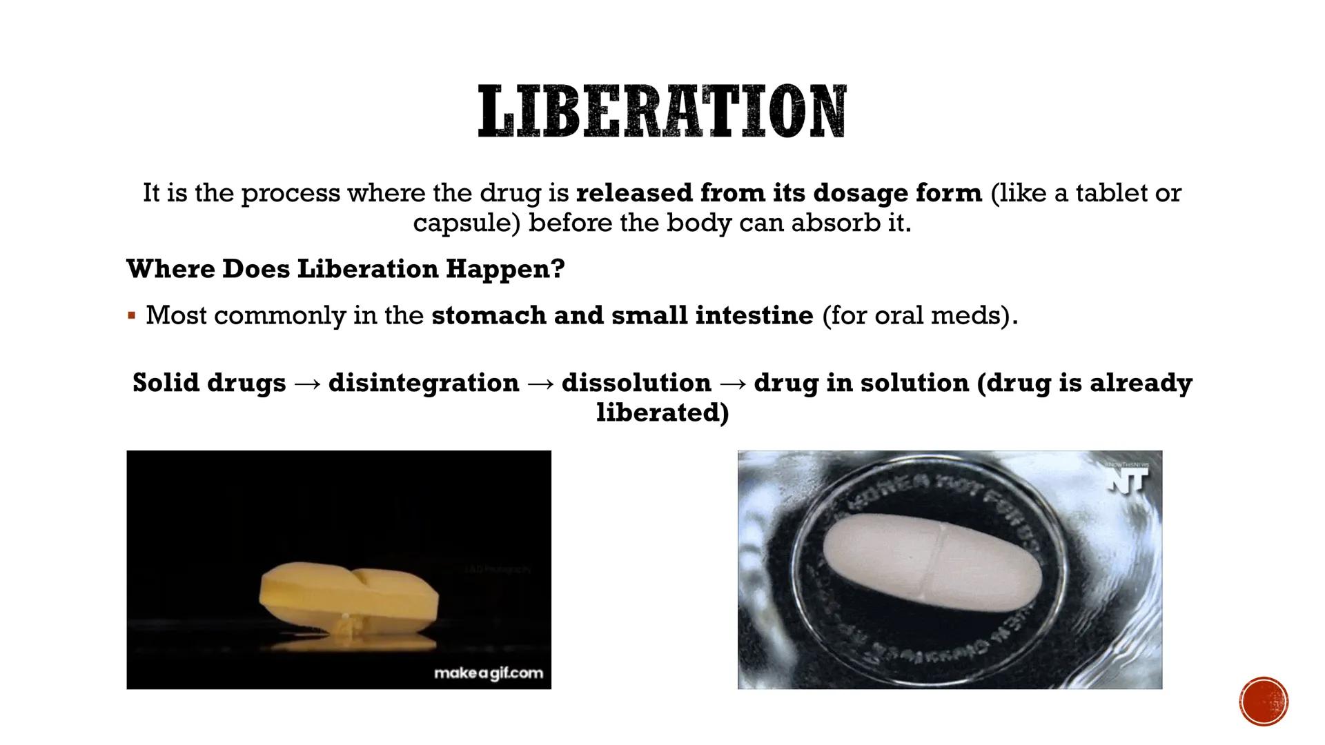 PHARMACOKINETICS:
THE JOURNEY OF A DRUG
By: Pauline Rose Gagala, RPh, PharmD
08/07/25 LADME
profile of Pharmacokinetics
WHAT IS
PHARMACOKINE