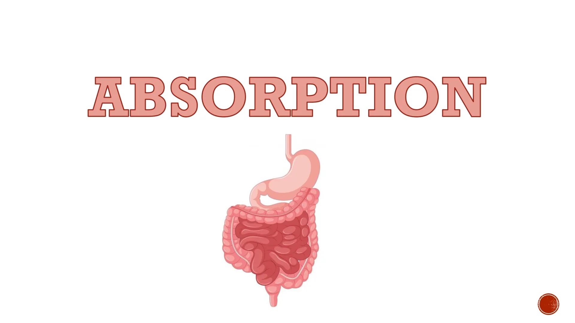 PHARMACOKINETICS:
THE JOURNEY OF A DRUG
By: Pauline Rose Gagala, RPh, PharmD
08/07/25 LADME
profile of Pharmacokinetics
WHAT IS
PHARMACOKINE