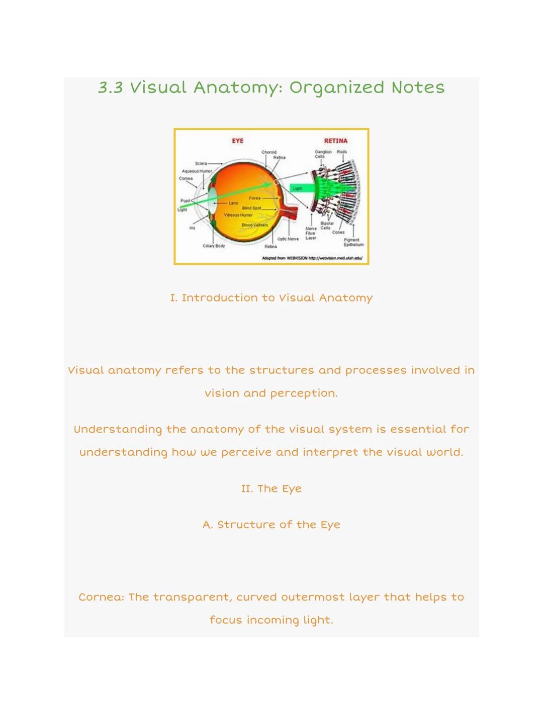 3.3 Visual Anatomy: Organized Notes

Sclera
Aqueous Humor
Ligne
EYE
RETINA
Fores
Blood Vessels
Optic
Clary Body
Adepted from WEBVISION Ntp:/