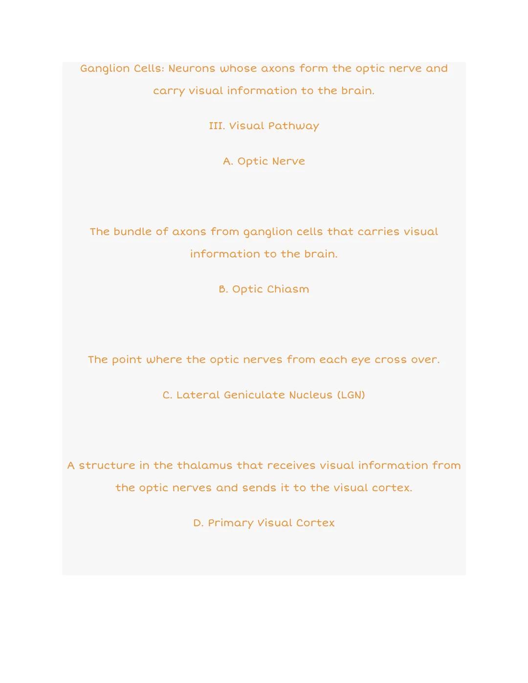 3.3 Visual Anatomy: Organized Notes

Sclera
Aqueous Humor
Ligne
EYE
RETINA
Fores
Blood Vessels
Optic
Clary Body
Adepted from WEBVISION Ntp:/
