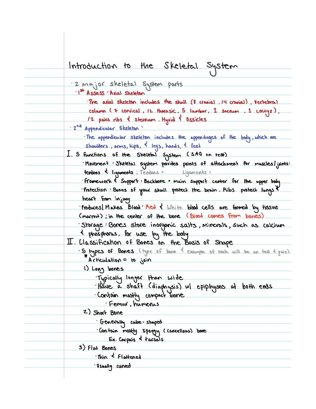 # Introduction to the Skeletal System

*   2 major skeletal System parts.
    *   1st Assess: Axial Skeleton
        *   The axial skeleton 