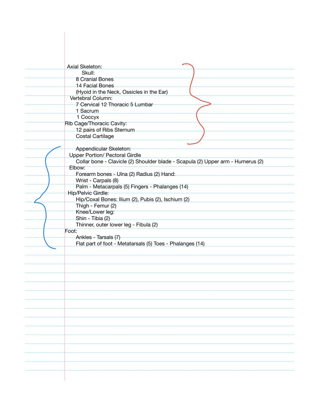 # Introduction to the Skeletal System

*   2 major skeletal System parts.
    *   1st Assess: Axial Skeleton
        *   The axial skeleton 