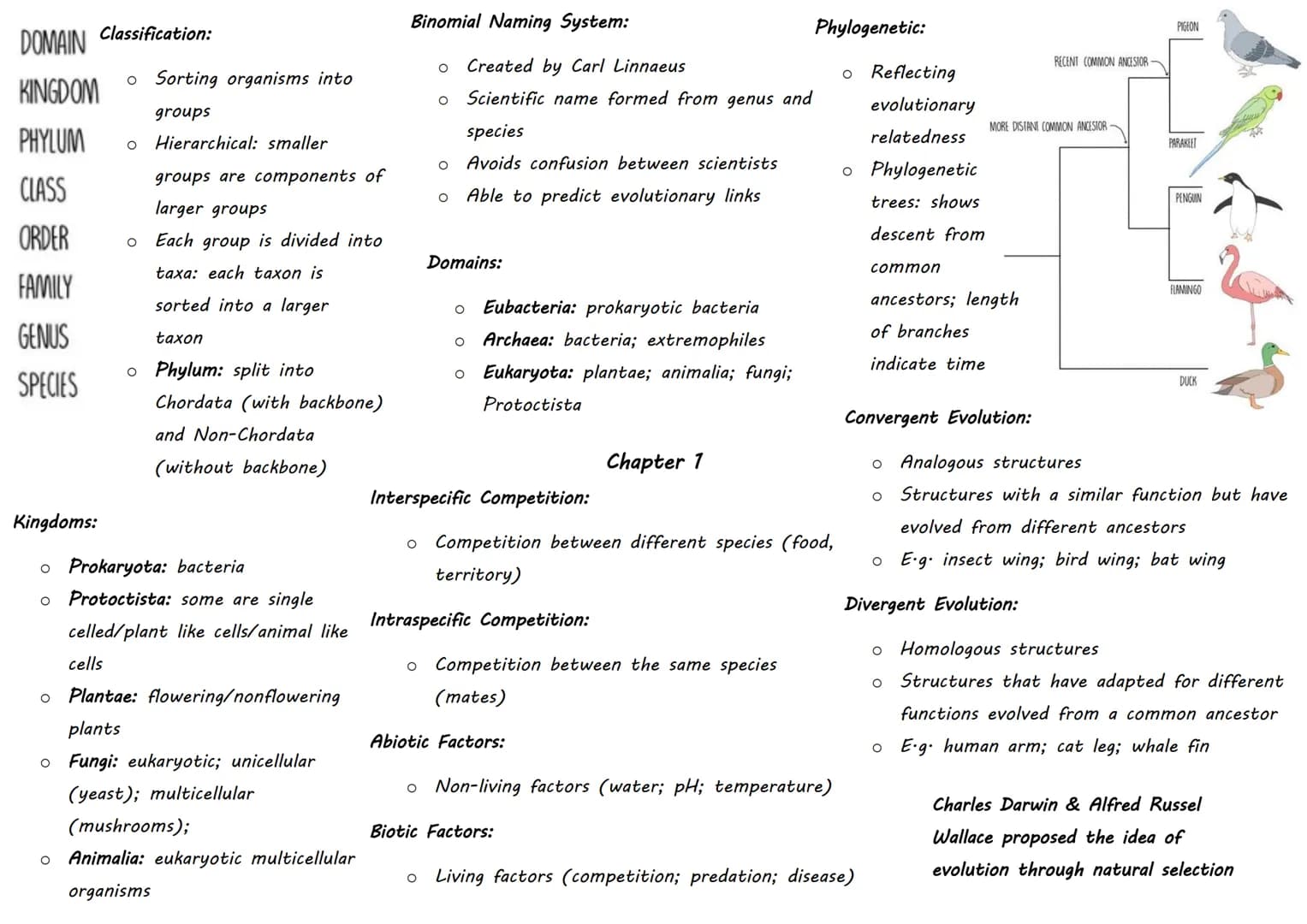 DOMAIN Classification:
KINGDOM
PHYLUM
CLASS
ORDER
FAMILY
GENUS
SPECIES

- Sorting organisms into
groups
- Hierarchical: smaller
groups are c